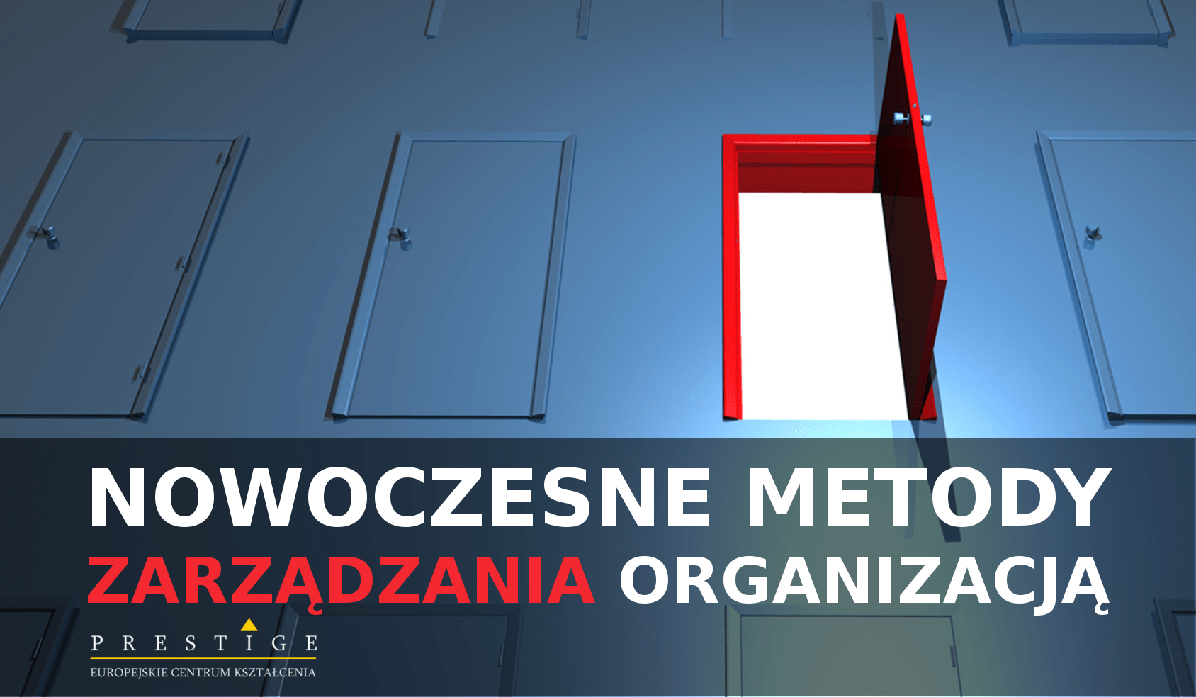 NOWOCZESNE METODY ZARZĄDZANIA ORGANIZACJĄ