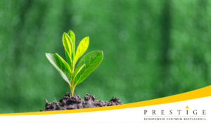 Ochrona środowiska w procesie inwestycyjnym. Oceny oddziaływania na środowisko według nowych przepisów. Realizacja przedsięwzięć na terenie obszarów Natura 2000