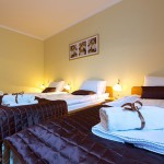 śląskie, Vestina Hotel ***