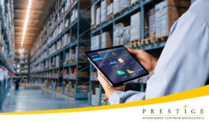 Zarządzanie danymi w systemie WMS