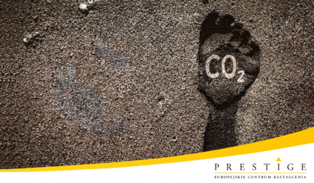 Czy warto dowiedzieć się, jak przebiega obliczanie śladu węglowego organizacji lub produktu?